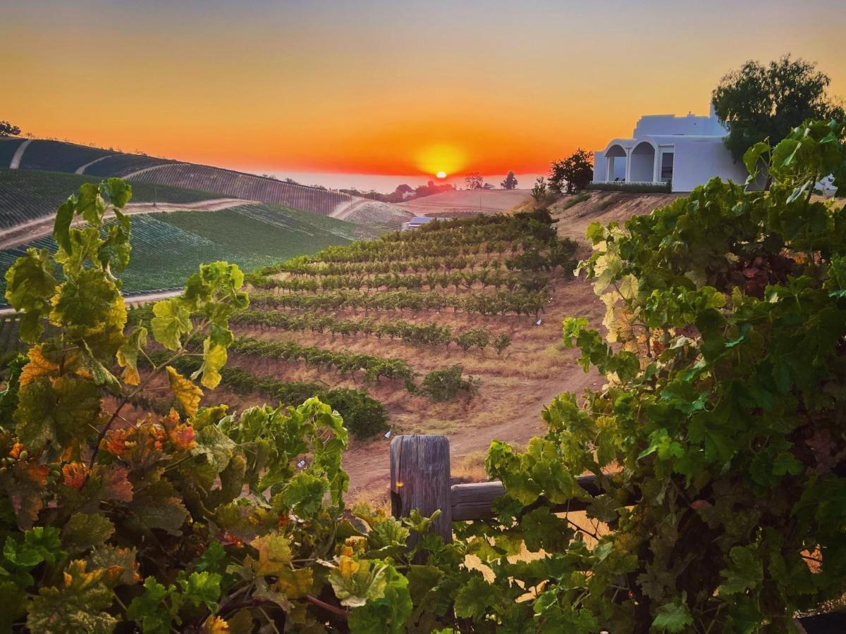Sirena Vineyard Resort Paso Robles Exteriör bild
